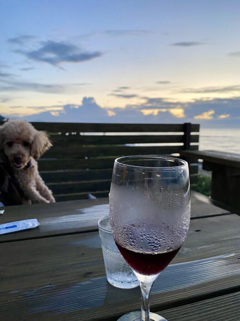 島根県益田市柿の木レストランの海の見えるテラスで赤ワインと愛犬空くん