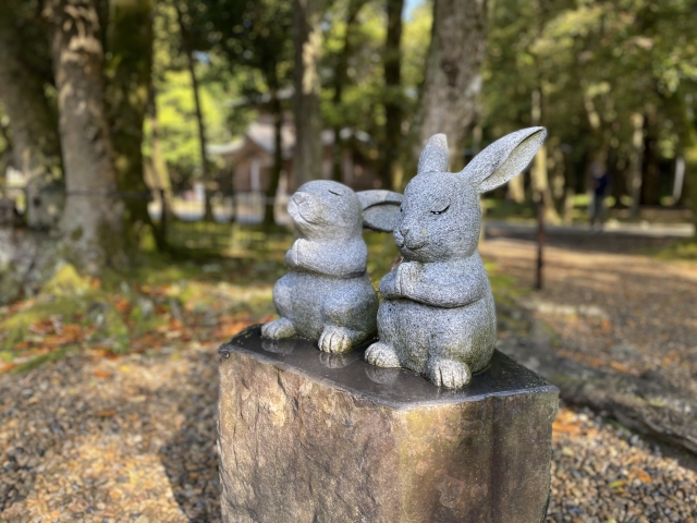 出雲大社うさぎ