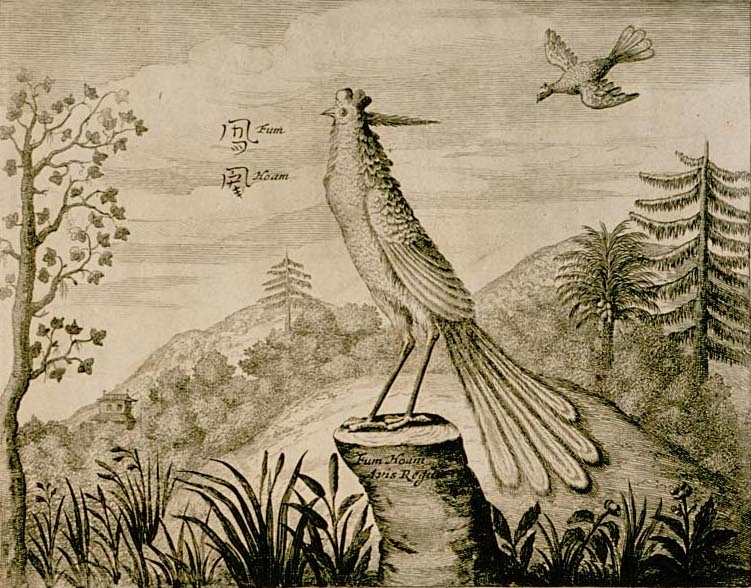 Image of a Fenghuang (Chinese Phoenix) drawn in the 1660s.