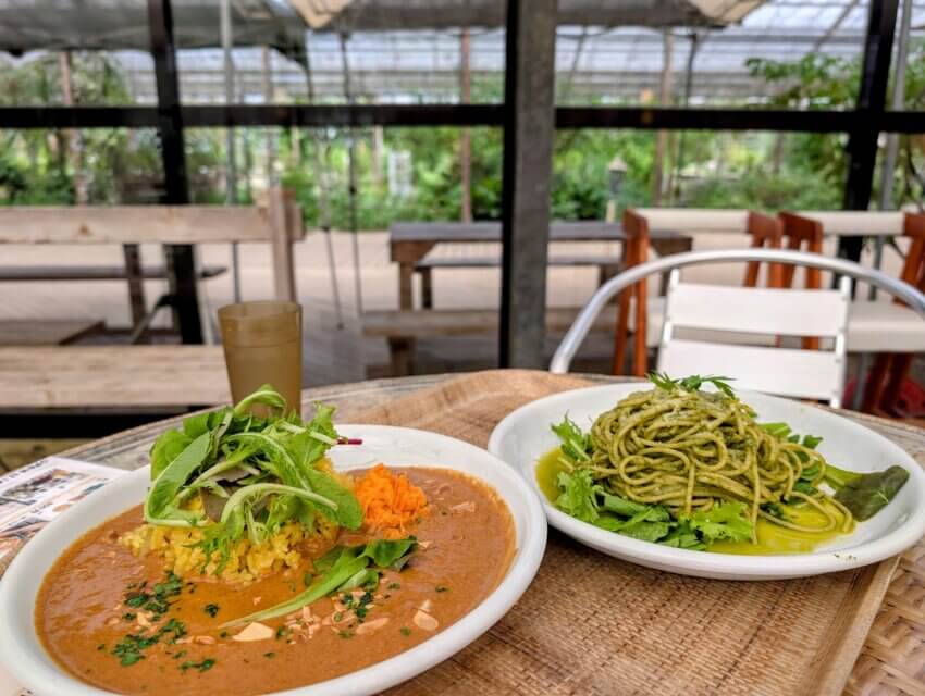 大多喜ハーブガーデンの料理