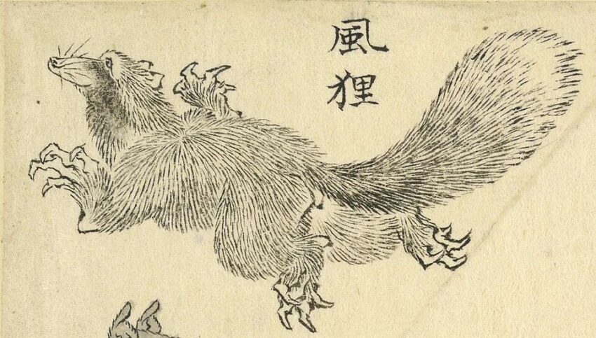 葛飾北斎が描いた動物たちの魅力完全ガイド:『北斎漫画』から名作まで徹底解説 葛飾北斎作『卍翁艸筆画譜』より「風狸」。風を操る狸の妖怪を描いた墨絵。狸が風袋のようなものを持ち、風を起こしている様子を表現した幻想的な作品。メトロポリタン美術館所蔵。