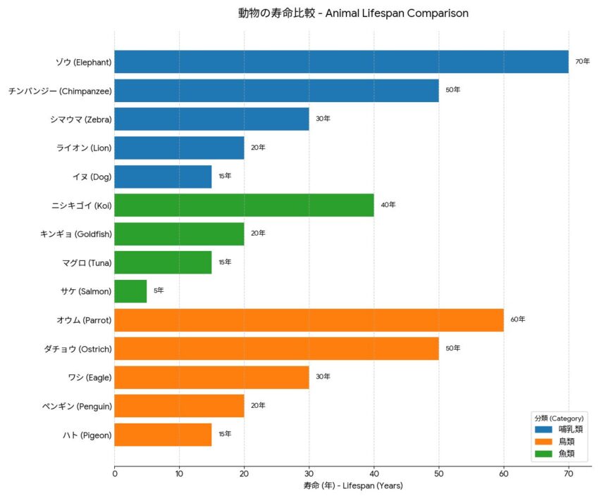 哺乳類、鳥類、魚類の寿命を比較したインフォグラフィック。ゾウ、ライオン、犬、オウム、金魚などの代表的な動物の平均寿命をチャート形式で表示