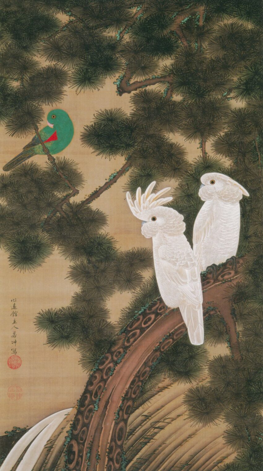 伊藤若冲 「老松鸚鵡図」 （1761）