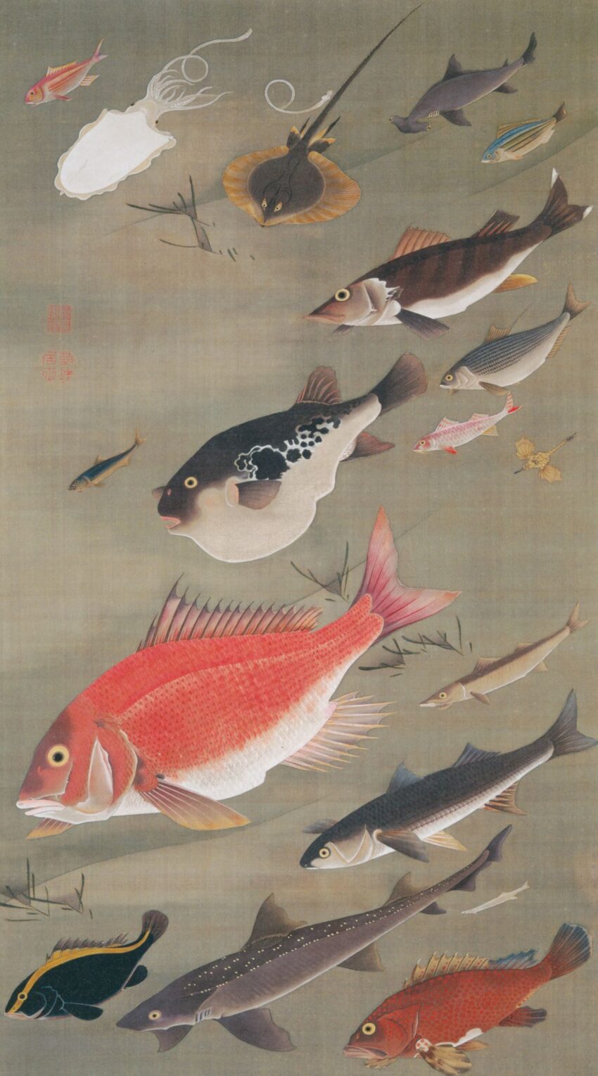 伊藤若冲 「群魚図(鯛)」 (1766)