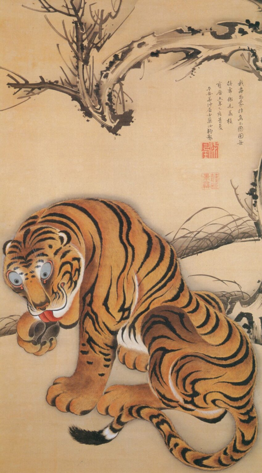 伊藤若冲 「虎図」 (1755)