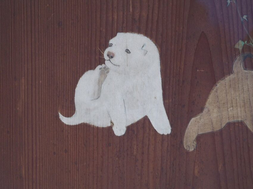 Close-up of Morning Glories and Puppies by Maruyama Okyo
円山応挙作品 - 座って振り返る愛らしい白い子犬