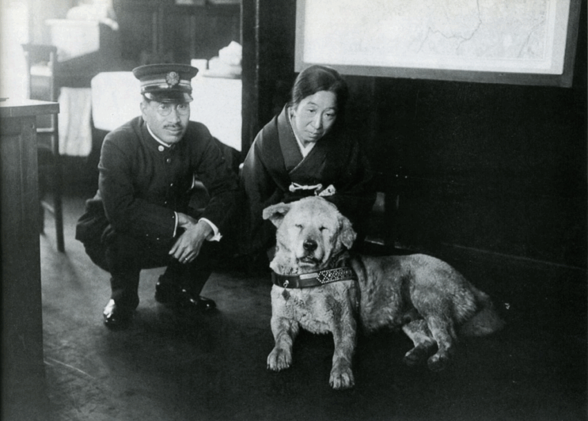 Hachiko at Shibuya Station around 1933 (Showa 8). The man in the picture is the station master. He was already an old dog and walked around the station every day, but he was affectionately called "Hachi" by many people, including station staff and station passengers.