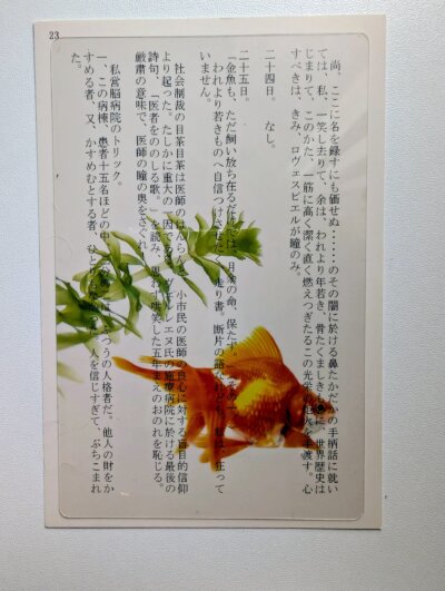 【フェリシモ限定】他では買えない!本好きさんに贈る「透明しおり」2種類セット〈金魚〉の会