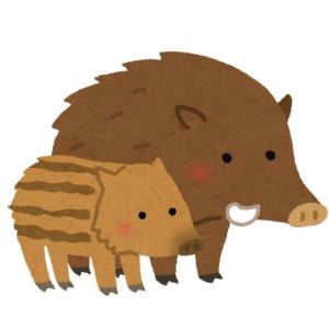 イノシシ