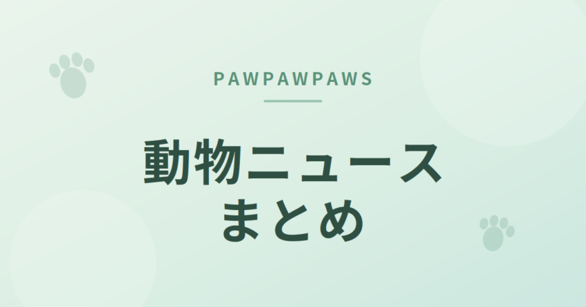 pawpawpaws 動物ニュースまとめのアイキャッチ画像